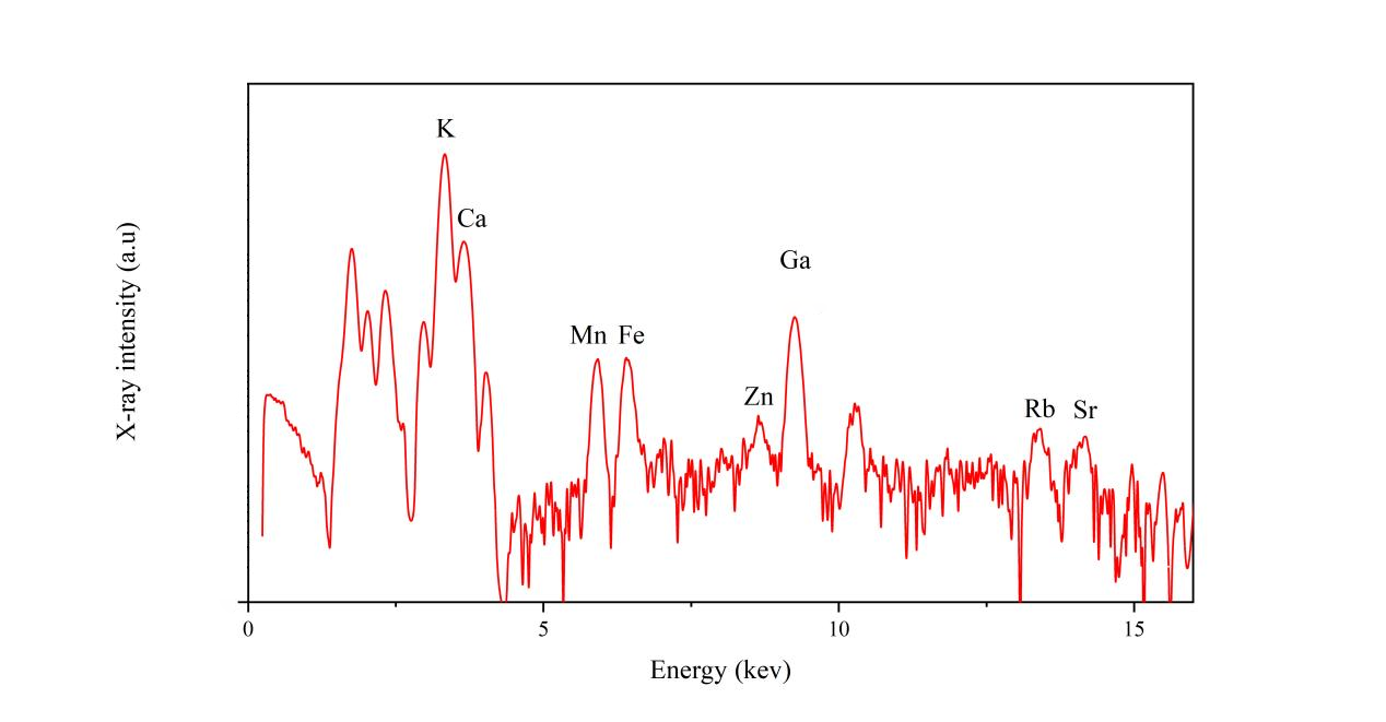 TXRF Technology on Trace Element Analysis in Wine(图1)